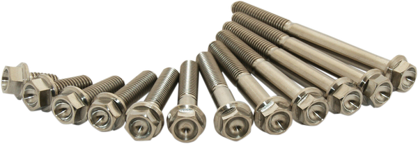 Титаниеви болтове SCAR M6X25мм - 2 броя