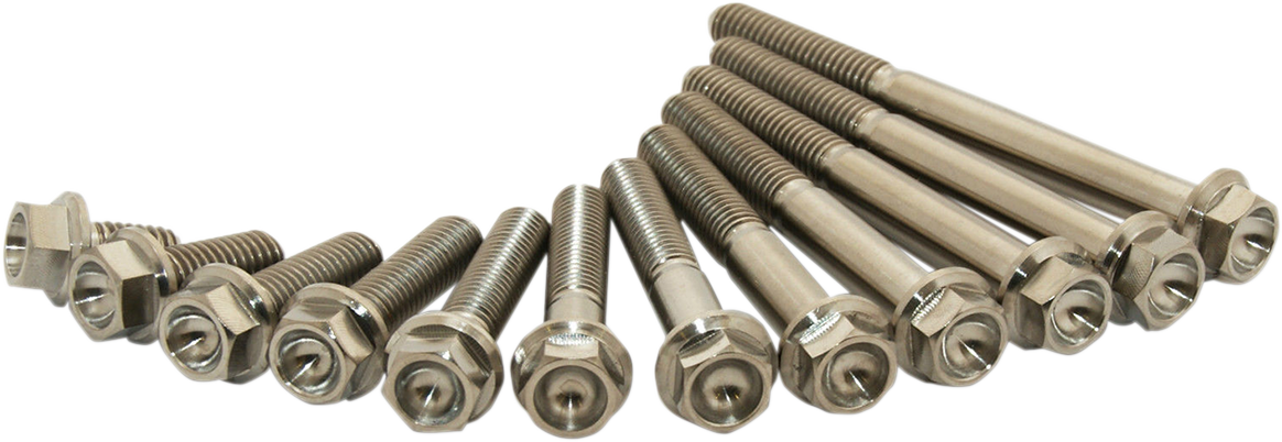 Титаниеви болтове M6X45мм - 2броя