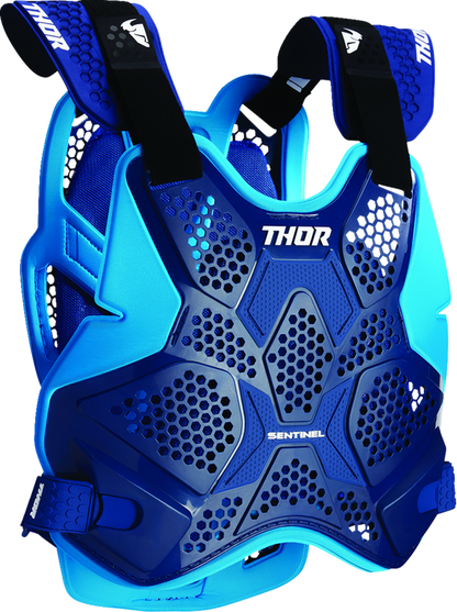 Протекторна броня THOR SENTINEL PRO BLUE