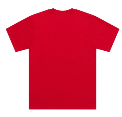 Тениска TROY LEE DESIGNS Signature - Team Red
